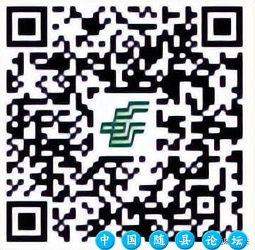 让美好发生︱金融赋能生活 共筑美好时光
