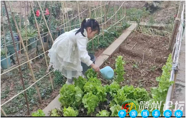 万福中心幼儿园开展五一劳动节主题教育活动五一劳动节,主题教育活动,劳动习惯