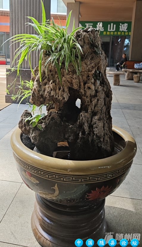 “石头城”里赏石头石头城,赏石头