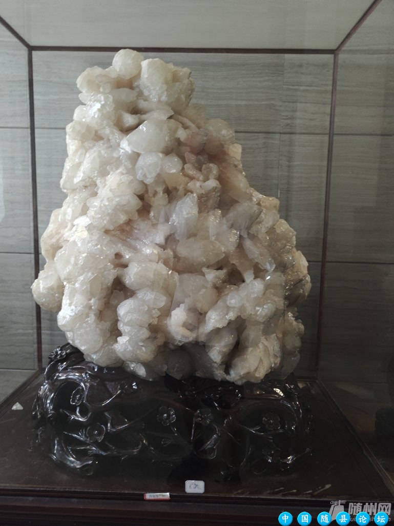 “石头城”里赏石头石头城,赏石头