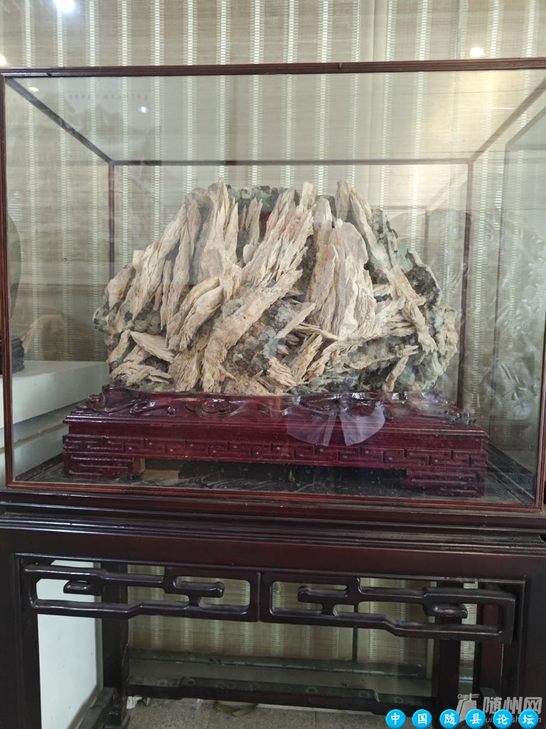 “石头城”里赏石头石头城,赏石头
