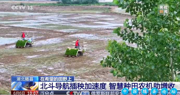 随州一月四上央视 魅力之城精彩绽放随州,央视报道,智慧农业,曾侯乙编钟,炎帝故里