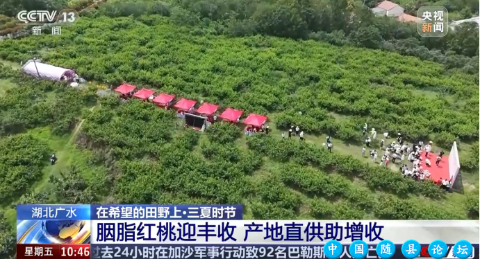 随州一月四上央视 魅力之城精彩绽放随州,央视报道,智慧农业,曾侯乙编钟,炎帝故里