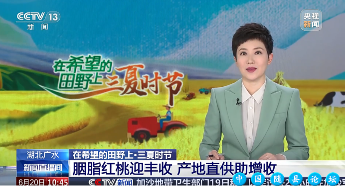 随州一月四上央视 魅力之城精彩绽放随州,央视报道,智慧农业,曾侯乙编钟,炎帝故里
