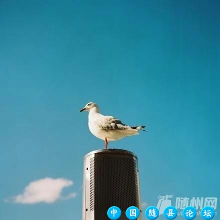 一个人的自愈的能力越强，才越有可能接近幸福自愈能力,幸福,心灵修复