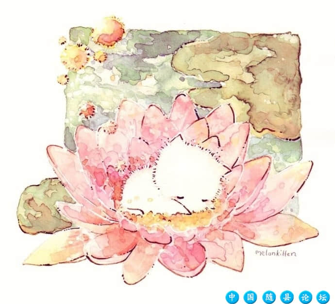 往事不回头，未来不将就未来,深情,孤独,流浪,故事