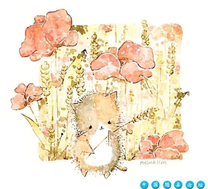 往事不回头，未来不将就未来,深情,孤独,流浪,故事