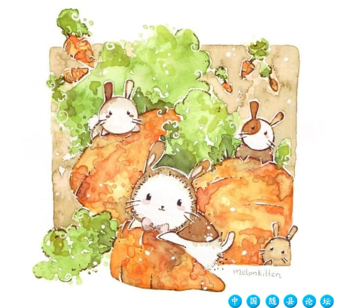 往事不回头，未来不将就未来,深情,孤独,流浪,故事