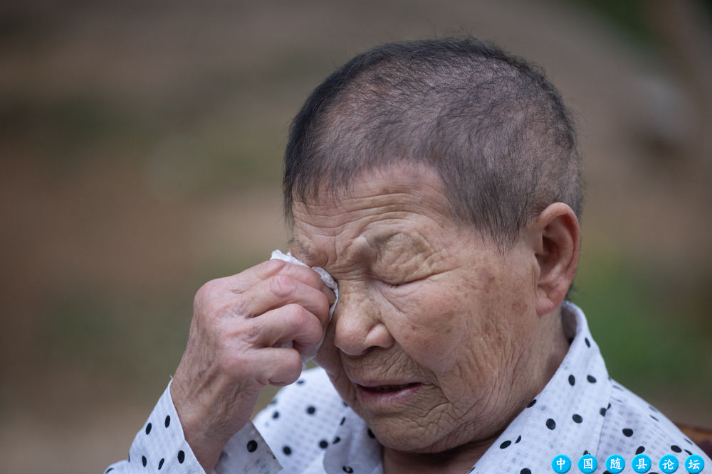 铭记历史 缅怀先烈｜昔日“小花”故事在此传唱经久不衰红色旅游,桐柏山,革命先烈