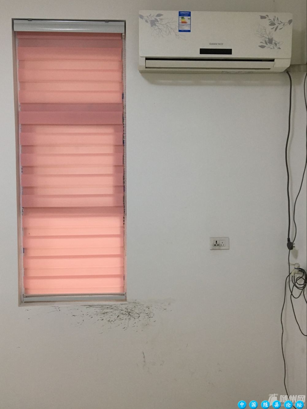 青年路房屋出租精装修房