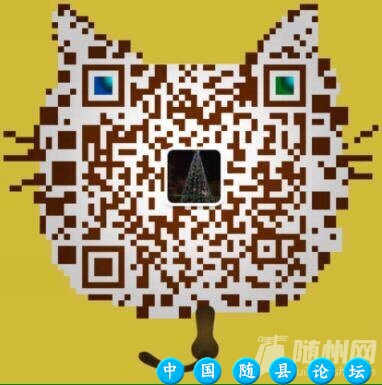 家装看房团03期：4月24日我们直击工地现场，漫长装修路，随县网陪同你一起····
