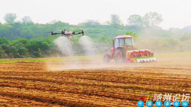 广水市：抢农时保播种绘“丰”景广水市,农时播种,粮油生产