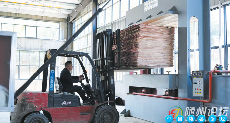 小林镇：鄂豫边界小镇掀起“破局”招商热小林镇,招商热,新能源加气站,农产品加工