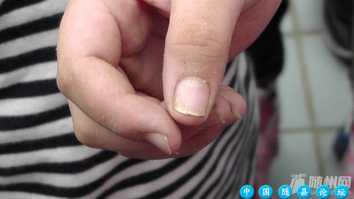 随州少年吉尼斯记录获得者名单公布啦  多现场图