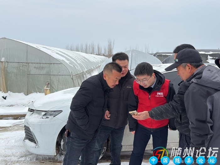 闻雪即动勇担当 保险精准护民生